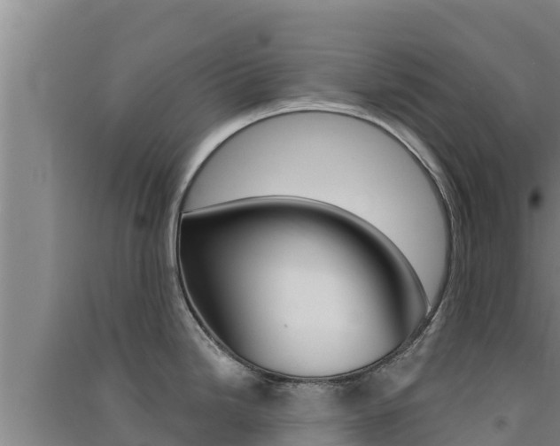X0000091561246200708171054