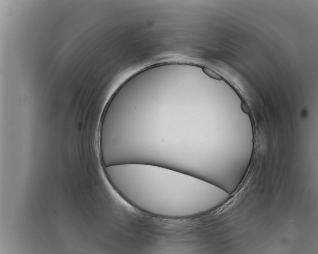 X0000091561247200708171055