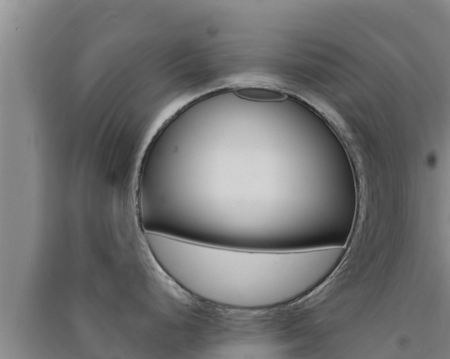 X0000091561248200708171055