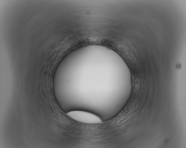 X0000091561249200708171054