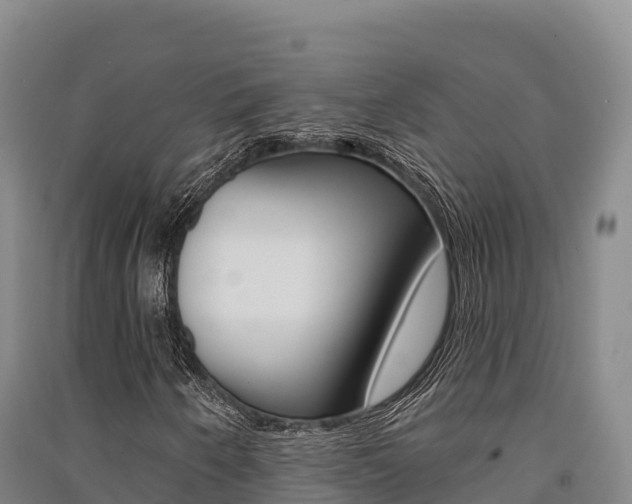 X0000091561250200708171054