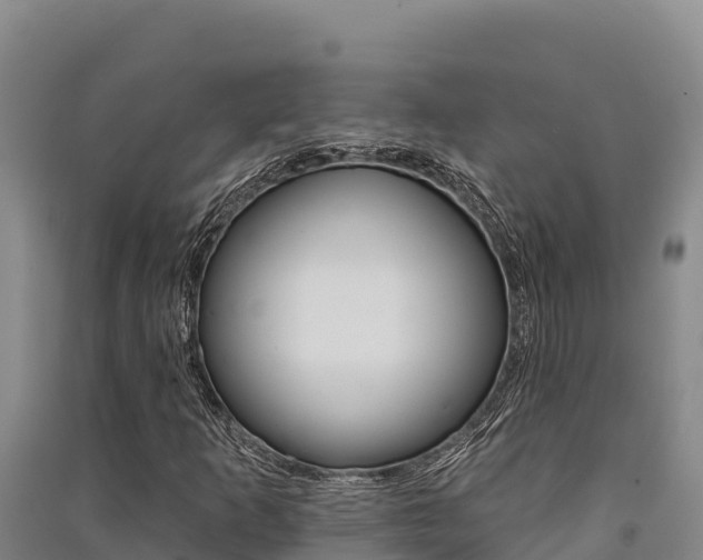 X0000091561253200708171054