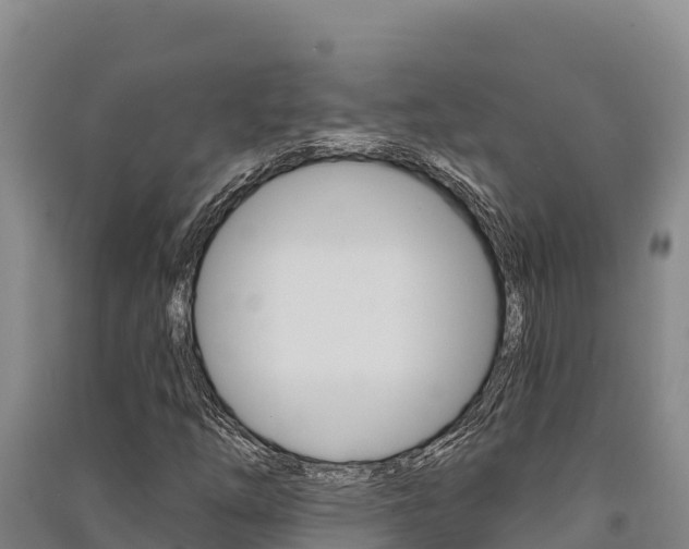 X0000091561254200708171054