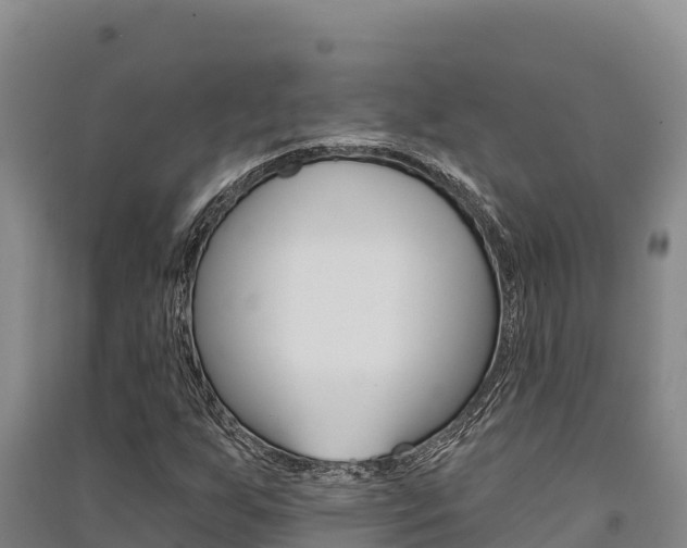 X0000091561255200708171054