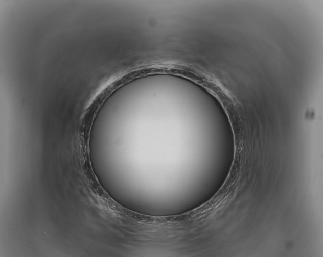 X0000091561256200708171054