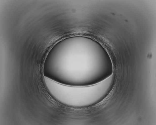 X0000091561257200708171054