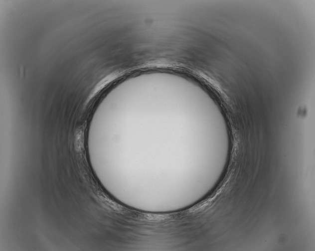 X0000091561258200708171054