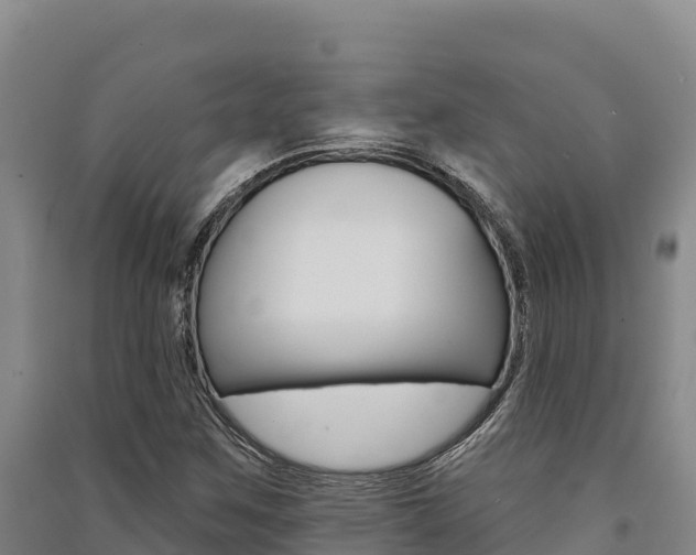 X0000091561259200708171054