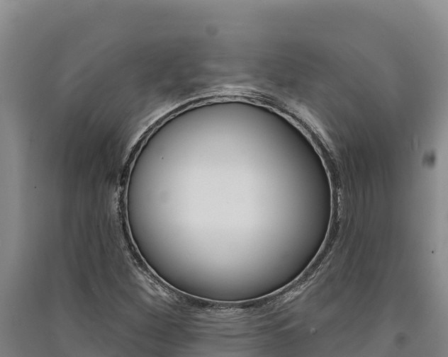 X0000091561260200708171054