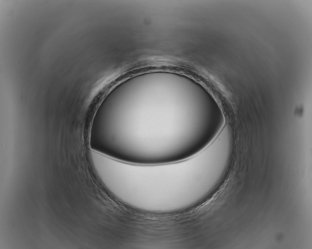 X0000091561261200708171054