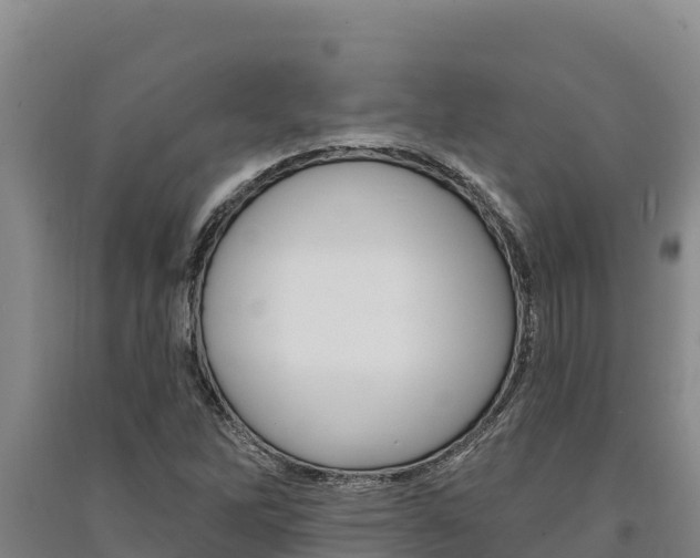 X0000091561262200708171054