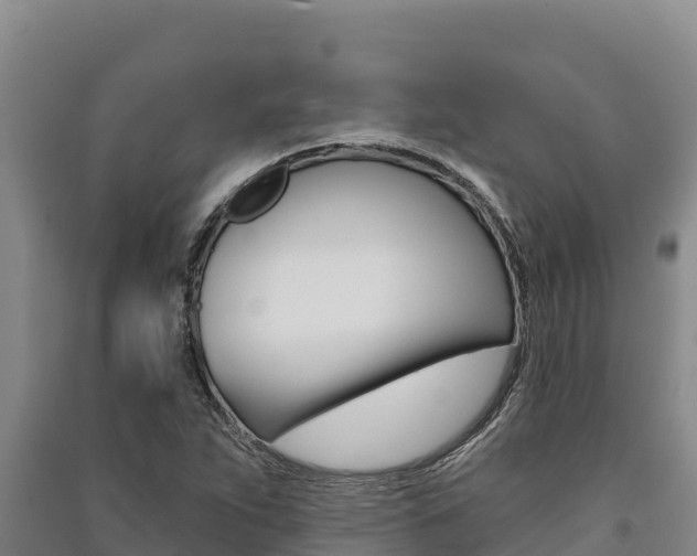 X0000091561263200708171054