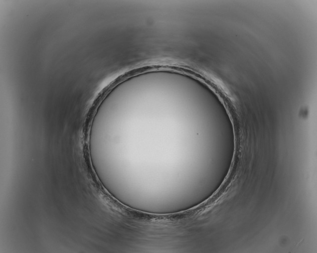 X0000091561264200708171054