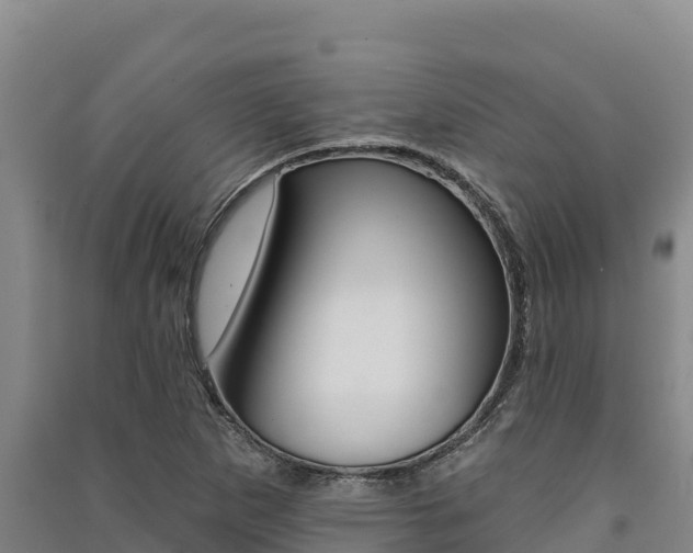 X0000091561265200708171054