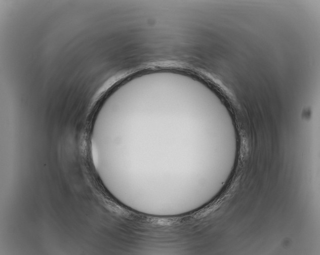 X0000091561266200708171054