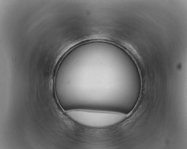 X0000091561268200708171054