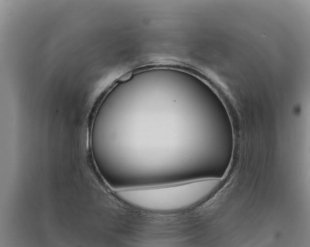 X0000091561269200708171054