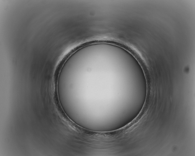 X0000091561270200708171053