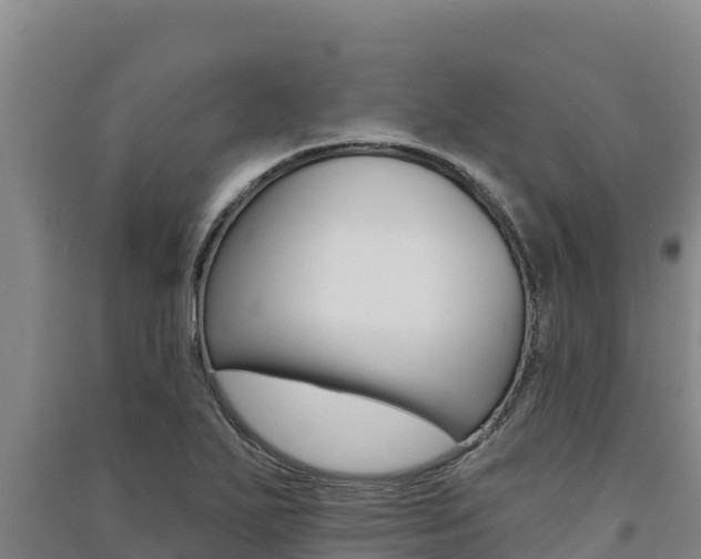 X0000091561271200708171053