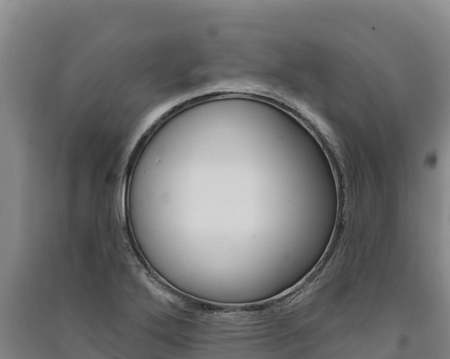 X0000091561272200708171053