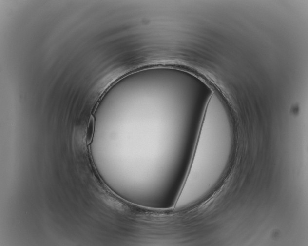 X0000091561273200708171053