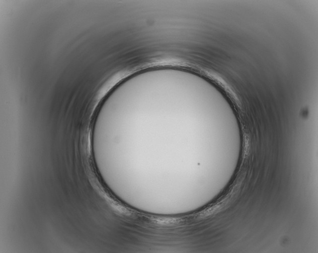 X0000091561274200708171053