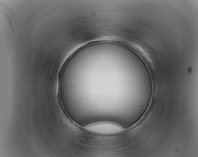 X0000091561276200708171053
