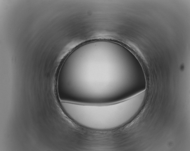 X0000091561277200708171053