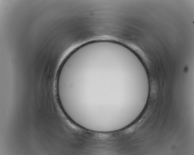 X0000091561278200708171053