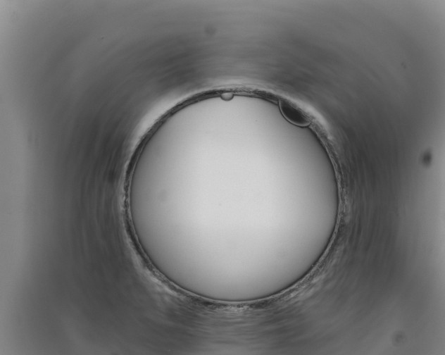 X0000091561279200708171053