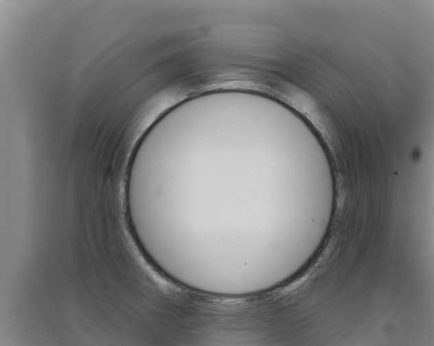 X0000091561282200708171053