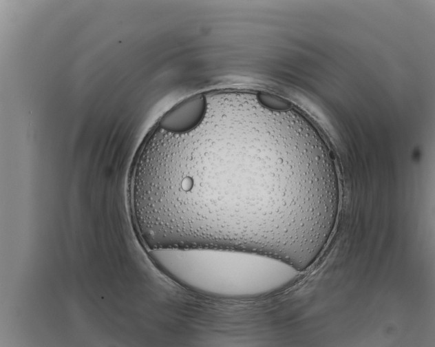 X0000091561283200708171053
