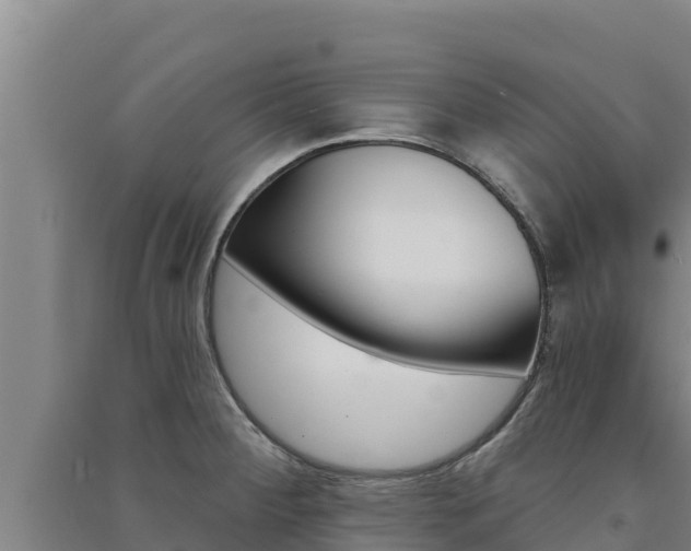 X0000091561284200708171053