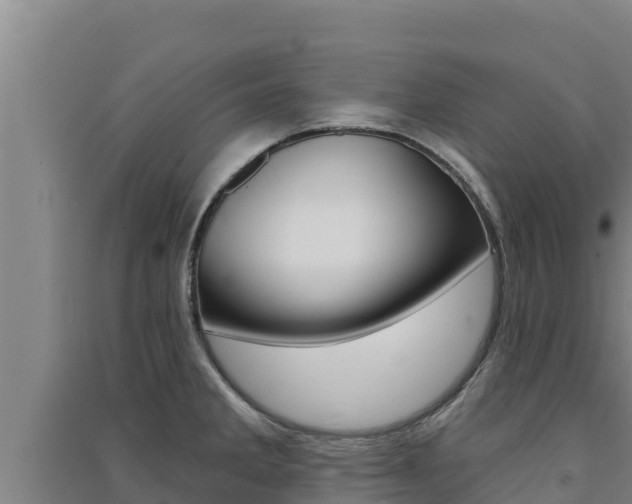 X0000091561285200708171053