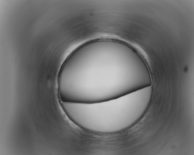 X0000091561287200708171053