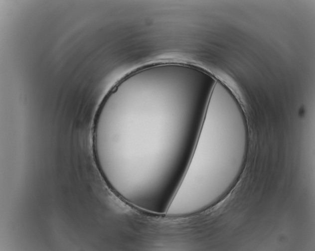 X0000091561288200708171053