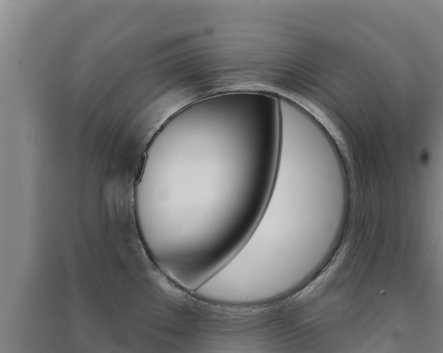 X0000091561289200708171053