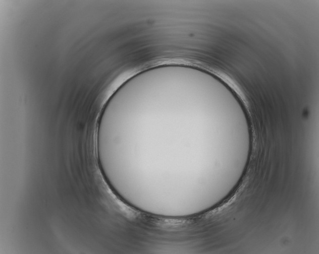 X0000091561290200708171053