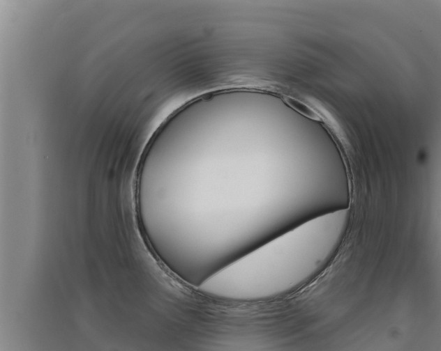 X0000091561291200708171053