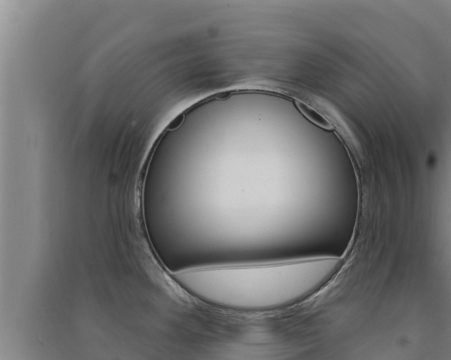 X0000091561292200708171053