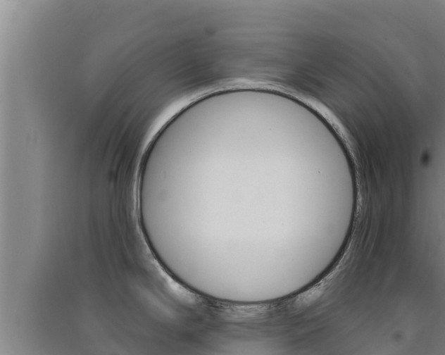 X0000091561294200708171053