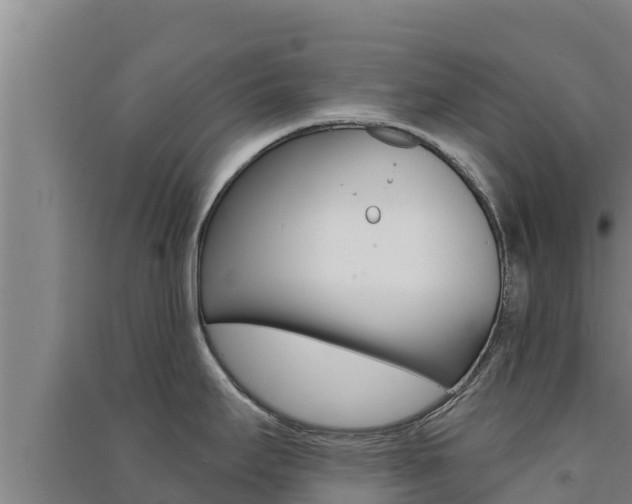 X0000091561295200708171053