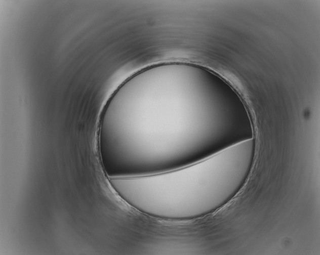 X0000091561296200708171053