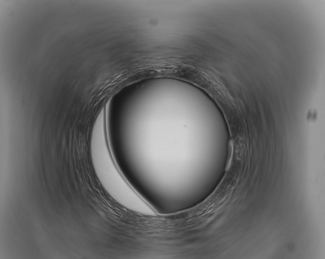X0000091561298200708171053