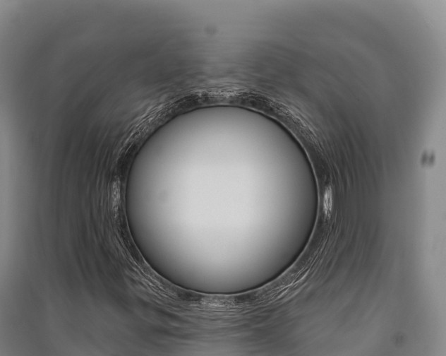 X0000091561299200708171053