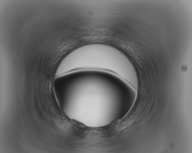 X0000091561300200708171053