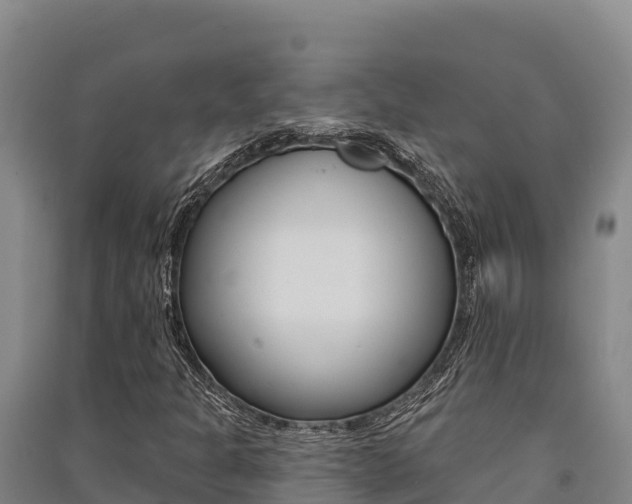 X0000091561301200708171053