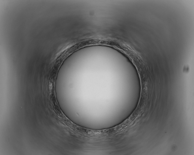 X0000091561302200708171053