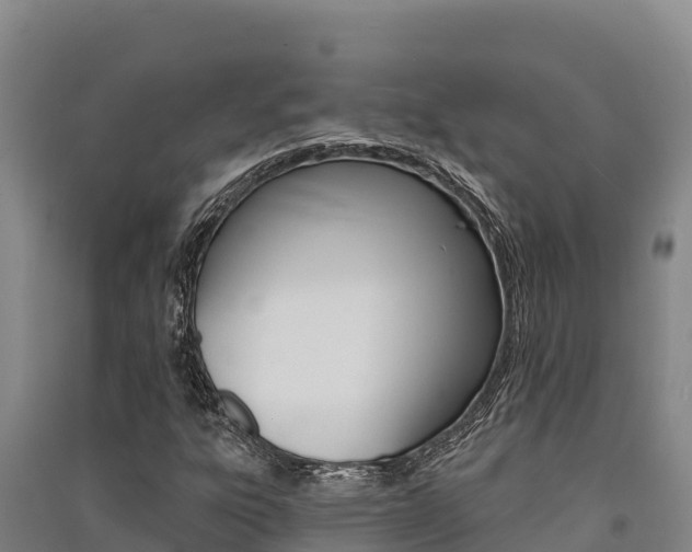 X0000091561303200708171053