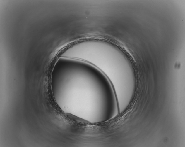 X0000091561304200708171053